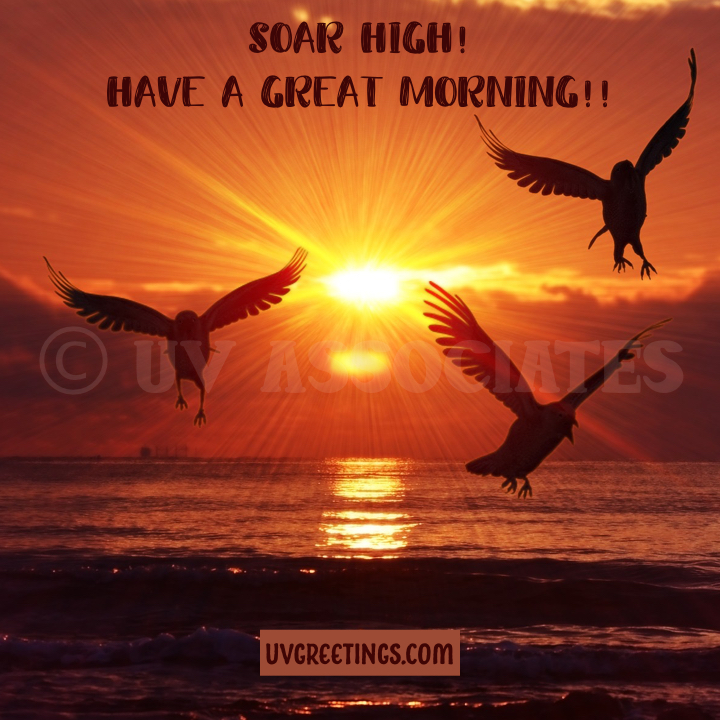 Silhouette of Birds with a rising sun, inspiring to soar high 