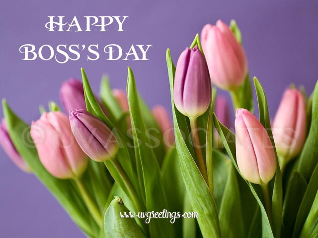 Beautiful Tulips for Boss's Day