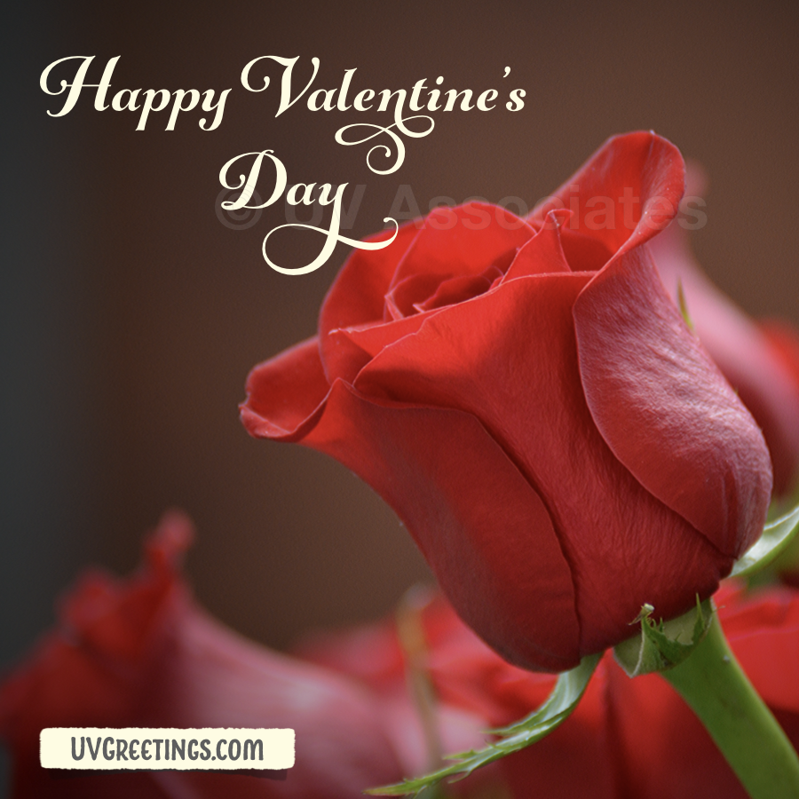 Enchanting Script - Happy Valentine’s Day with 