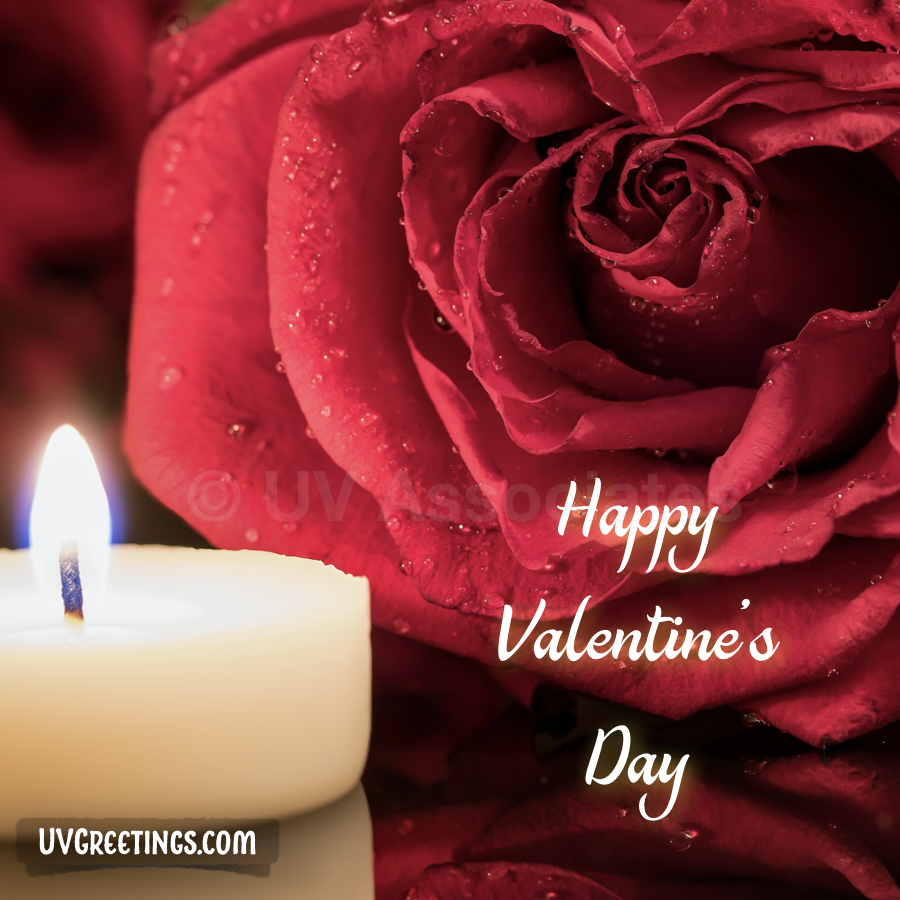 Candle and Rose with beautiful Drops  - Valentine’s Day Image