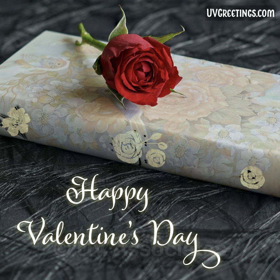 A Red Rose is lying on a beautiful Book in this Valentine’s Day eCard.