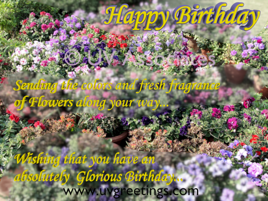 Happy Birthday - Fresh Fragrance of Multicolor Flowers