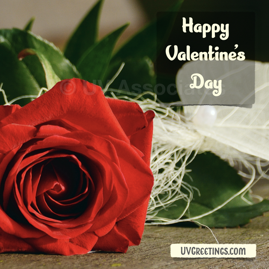 eCard with a red rose and Happy Valentine’s Day message