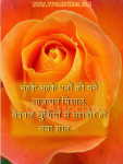 Hindi New Year eCard - Mahakte Pal