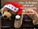 Lazy Teddy with Christmas Hat In the Box