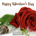 A Red Rose and Chocolate for the Valentine’s Day Wish 