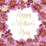 Pink Floral Frame, Gold Script - Happy Mother’s Day
