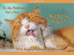 National Cat Day - Just let us Relax!